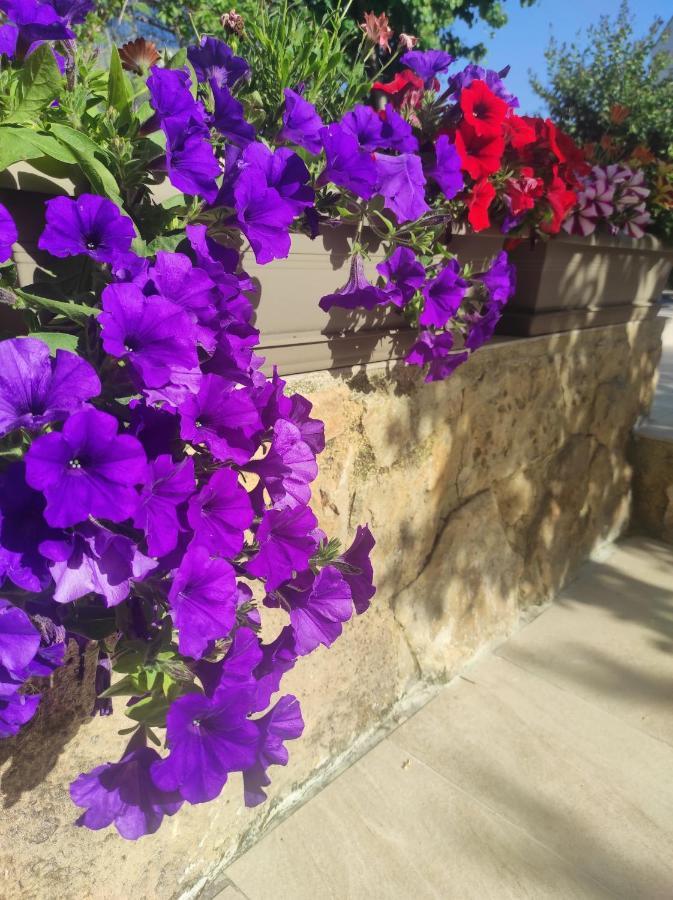 Villa Anthemida Chania Agia  Экстерьер фото